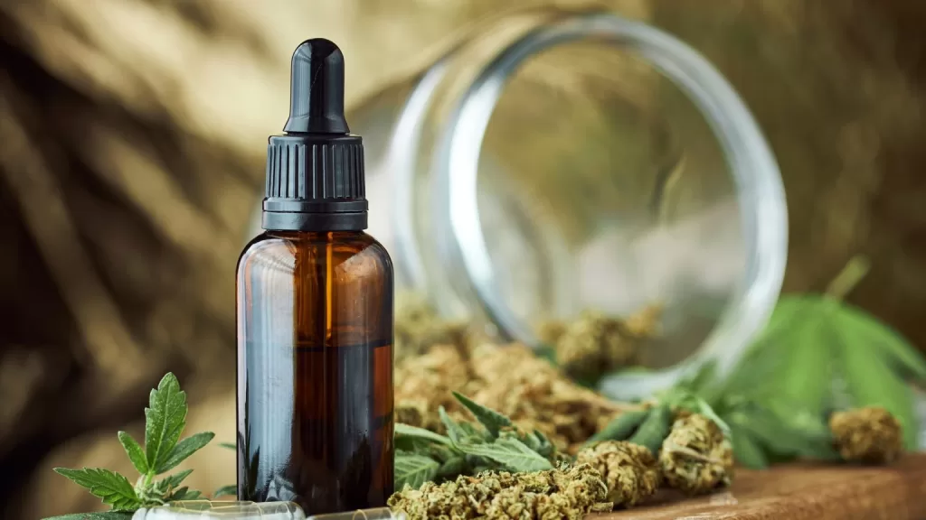 Exploring the Differences of CBD vs. THC